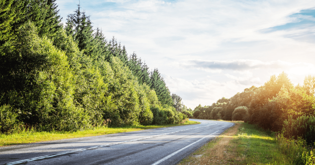 An empty tree lined road bending to the left